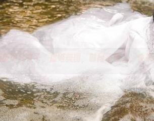 你的负卿又来了，虞姬美图，时间不等人，快来戳！