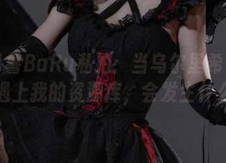 巴鲁巴鲁BaRu私拍：当乌尔里希·冯·胡滕遇上我的资源库，会发生什么？