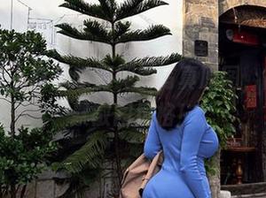 微密圈 – 紫色哒豚豚的写真原图，简单粗暴散图风格！