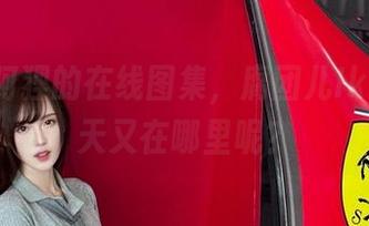 九尾狐阿狸的在线图集，腐团儿Ikaros今天又在哪里呢？