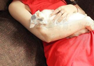 青豆客 – 珍妮花的美腿写真：为什么我从未见过这样的腿？图包来吧！